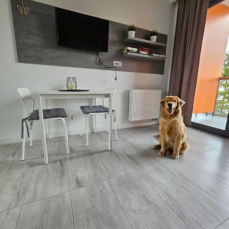 Apartment B106 - Jastrzębia Góra