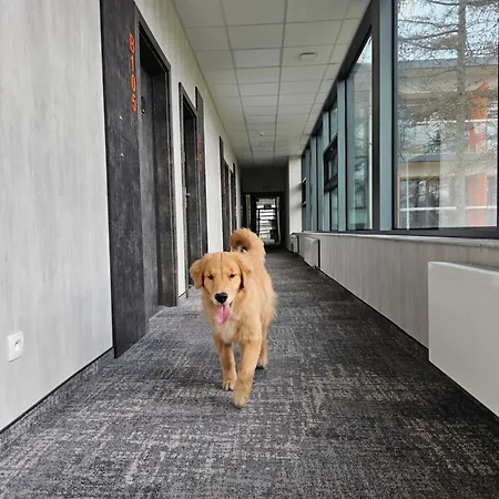 B106 - Apartment Jastrzębia Góra