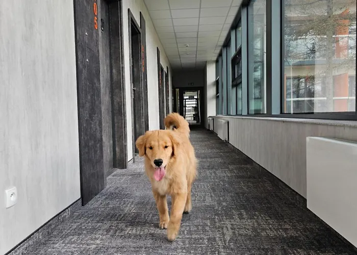 B106 - 公寓 Jastrzębia Góra